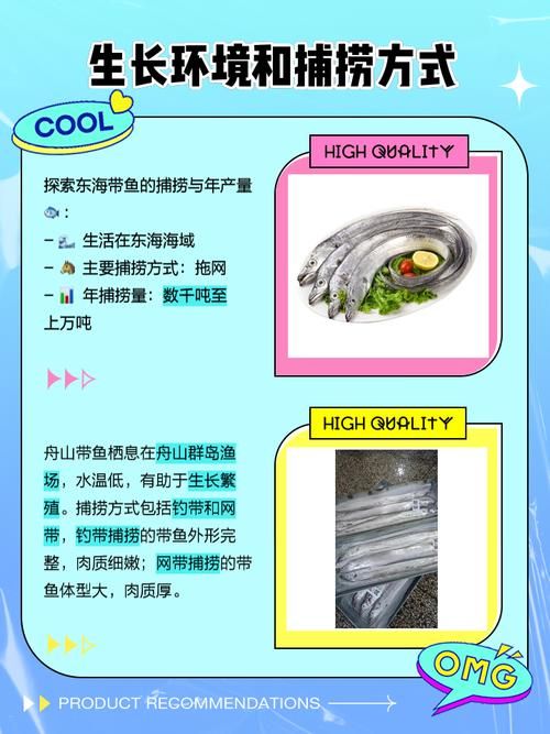 哪种鱼不属于鱼类 揭秘这些名字带鱼却不是鱼的生物