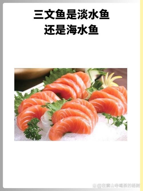 哪种鱼不属于鱼类 揭秘这些名字带鱼却不是鱼的生物