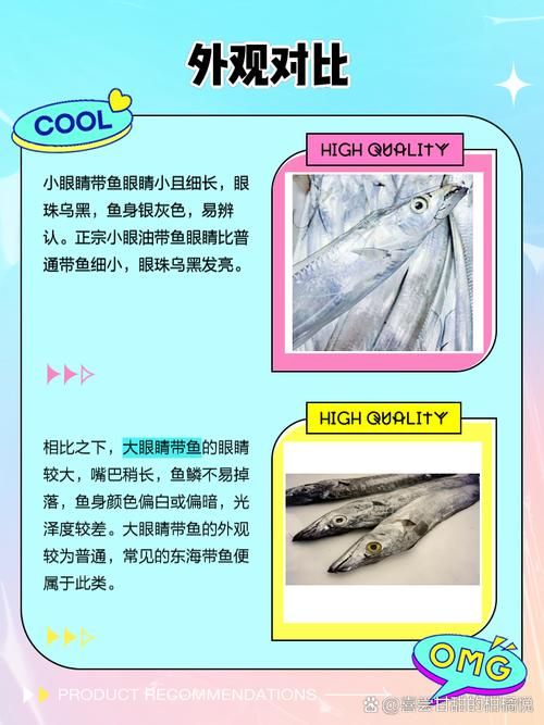 哪种鱼不属于鱼类 揭秘这些名字带鱼却不是鱼的生物