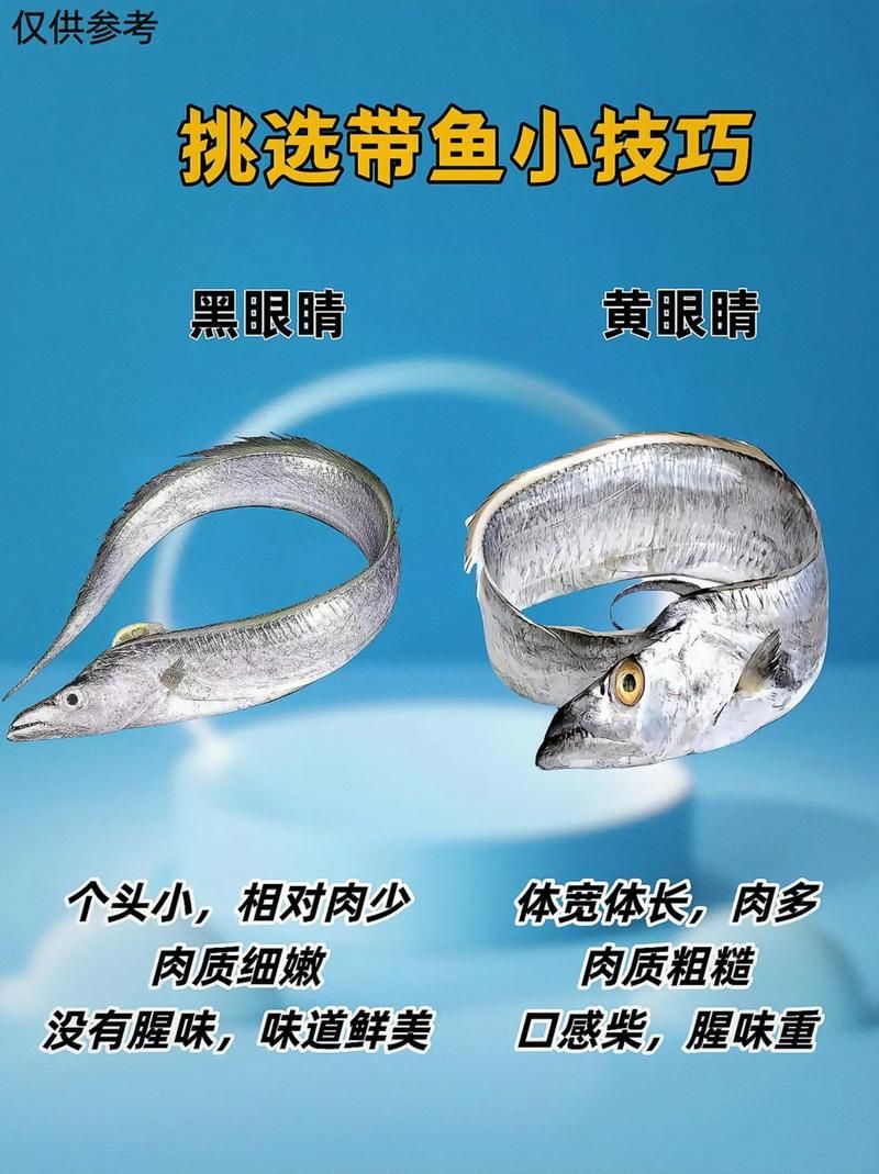 哪种鱼不属于鱼类 揭秘这些名字带鱼却不是鱼的生物
