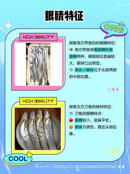 哪种鱼不属于鱼类 揭秘这些名字带鱼却不是鱼的生物