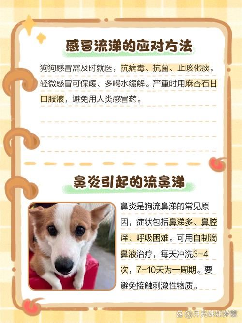 哭泣时也会流鼻涕 教你快速止住的小妙招