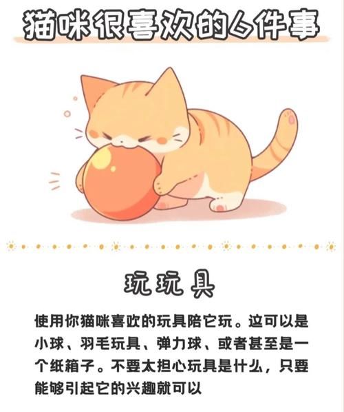 喵糖总动员怎么玩 完整玩法指南不容错过