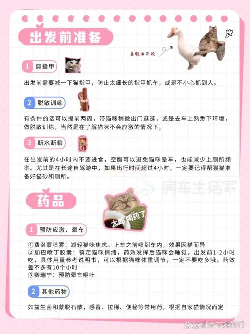 喵糖总动员怎么玩 完整玩法指南不容错过