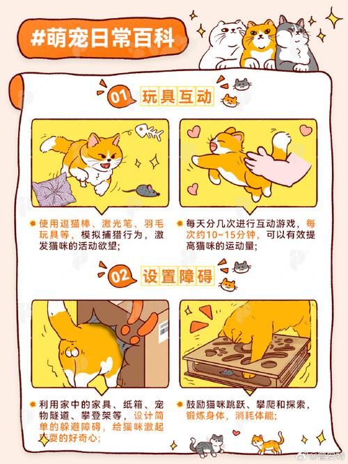 喵糖总动员怎么玩 完整玩法指南不容错过