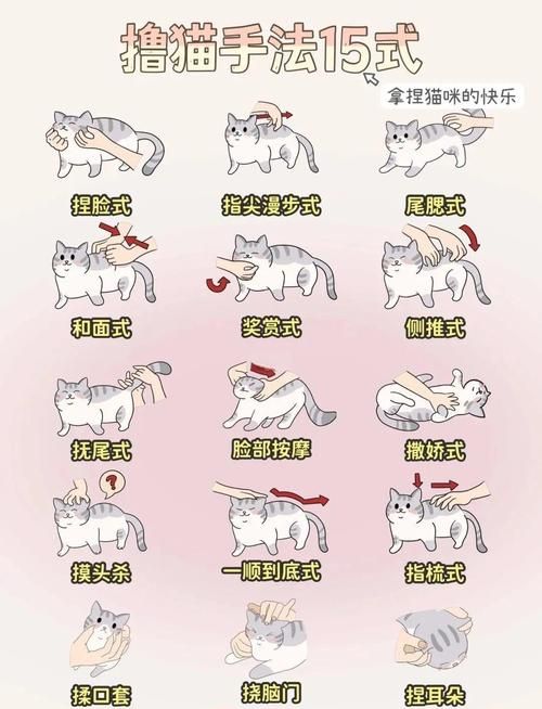 喵糖点数翻倍时间攻略 轻松掌握双倍技巧