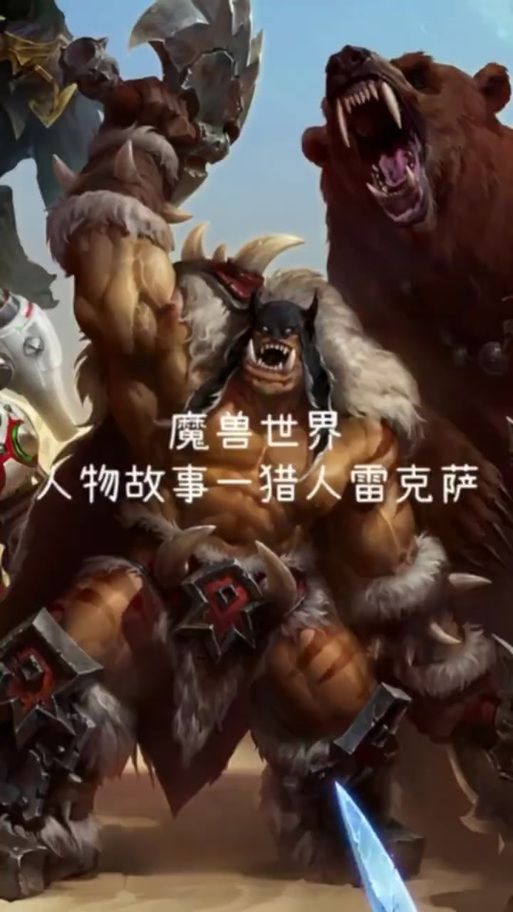固执胜利者的胸甲与其他防具对比评测