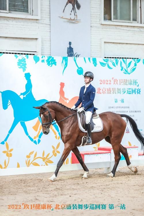 国内哪里能学大师级骑术 资深骑手教你选