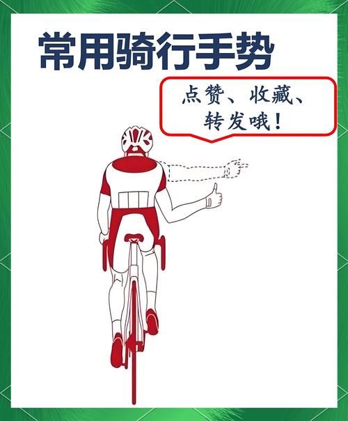 国内哪里能学大师级骑术 资深骑手教你选