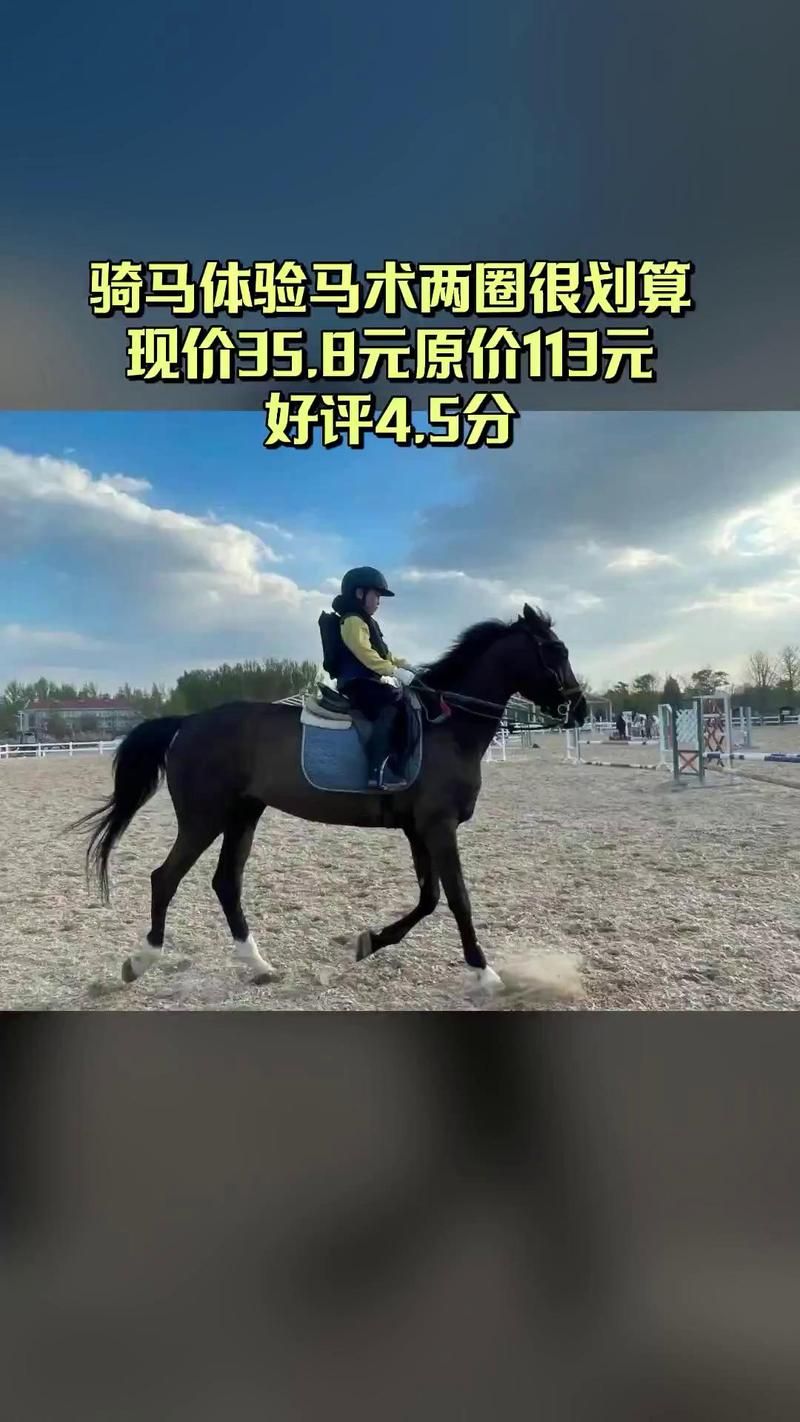 国内哪里能学大师级骑术 资深骑手教你选