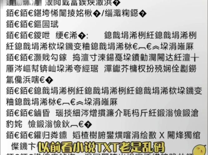 国语乱码中文字幕修复教程 新手也能轻松学会