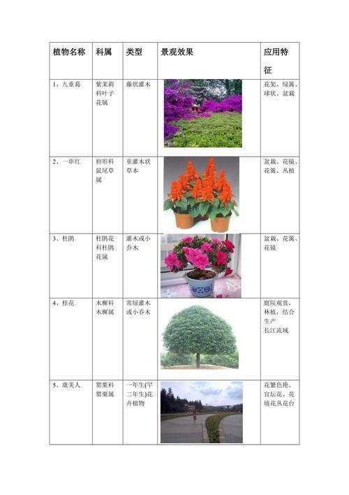 图片格式都有哪些不同种类和用途介绍