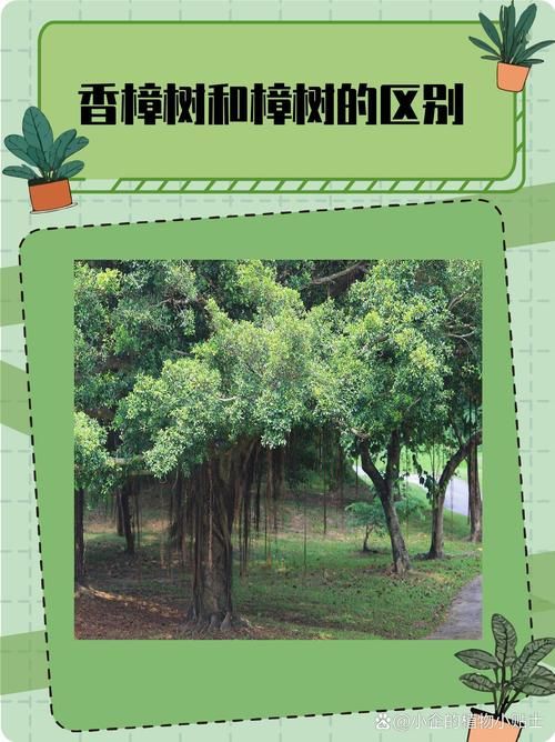 图片格式都有哪些不同种类和用途介绍