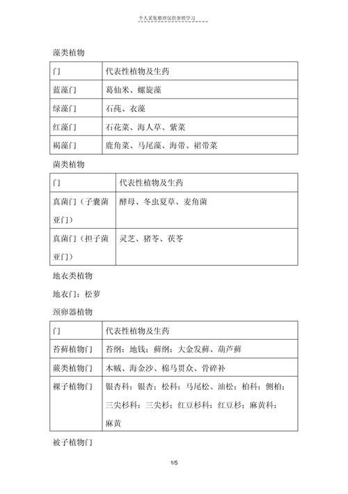 图片格式都有哪些不同种类和用途介绍