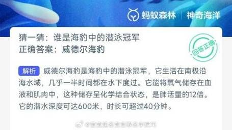 圆珠笔尖蚂蚁庄园玩法揭秘 这些小技巧你知道吗