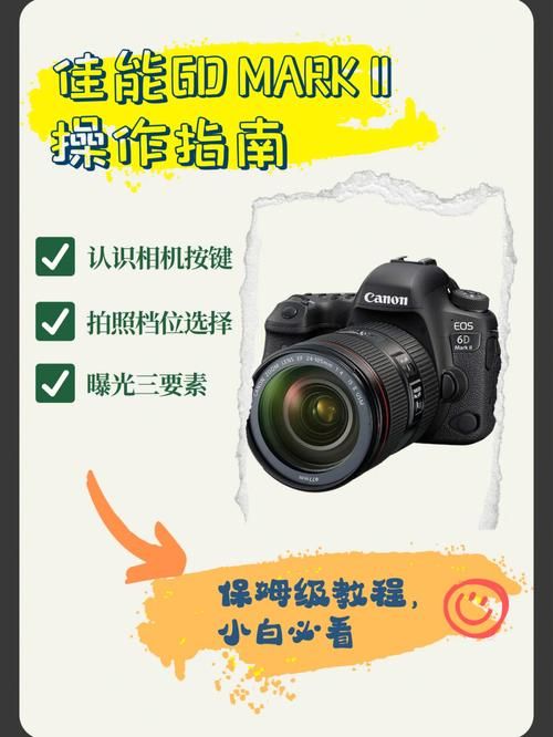 圆通金刚核心系统操作指南新手必看教程
