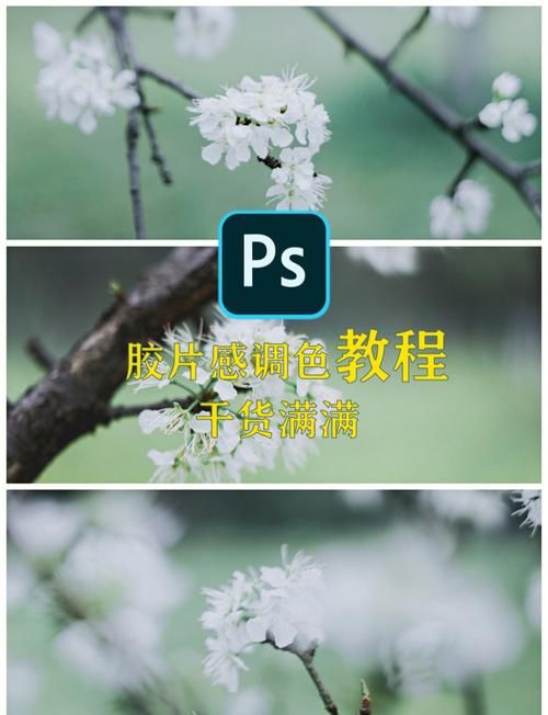 在线ps照片合成软件推荐 快速制作专业效果