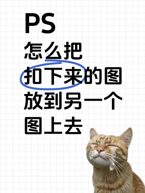 在线ps美图秀秀抠图教程 三分钟学会快速去背景
