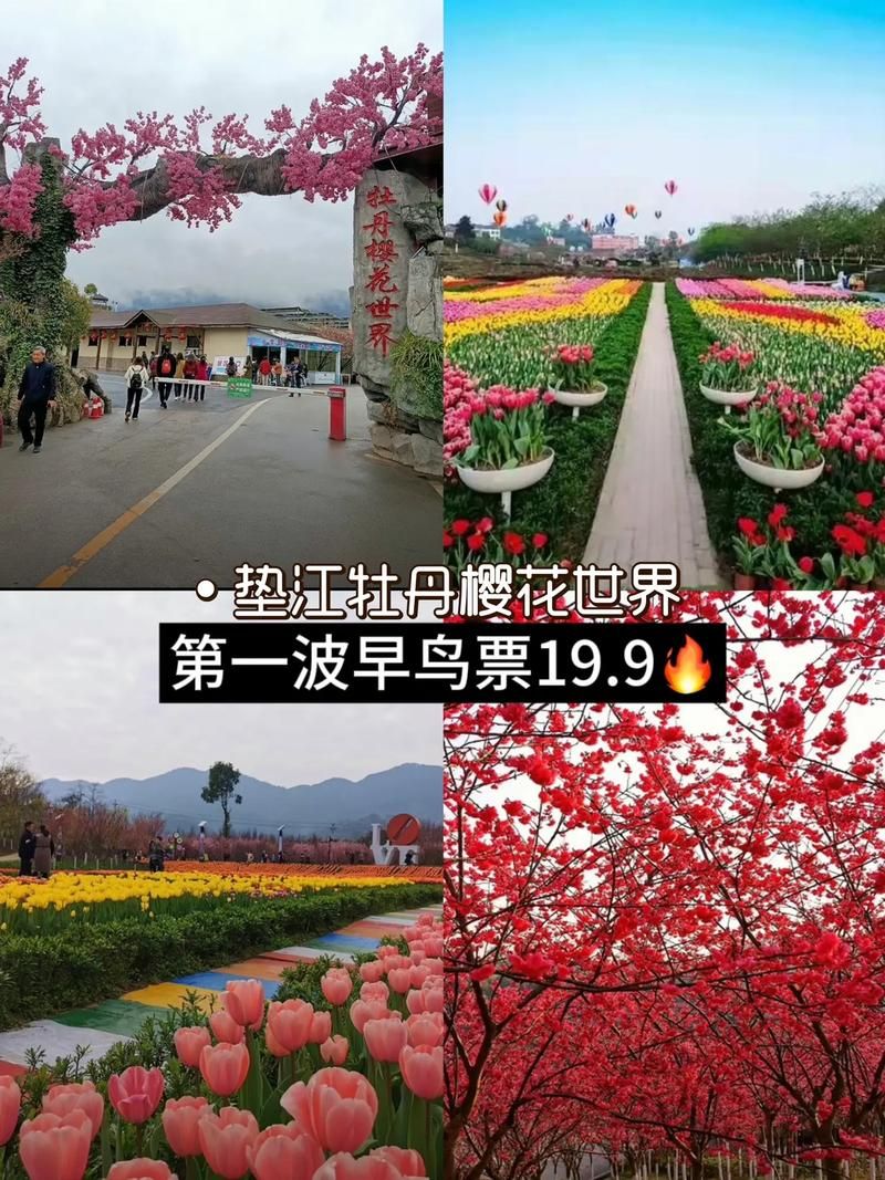 垫江牡丹樱花世界最佳观赏期 什么时候去最合适