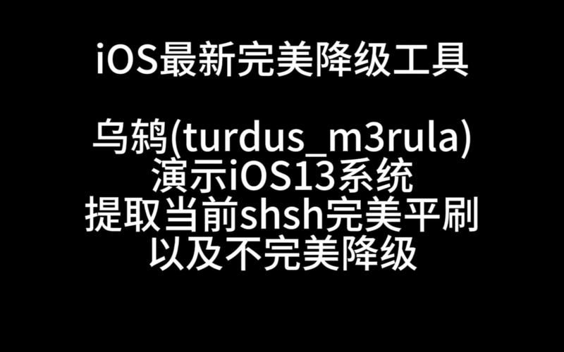 备份shsh详细教程 防止降级失败必备技能