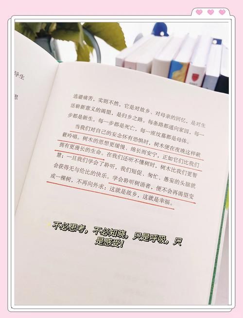 夏洛特海瑟林克的人生经历给我们什么启示