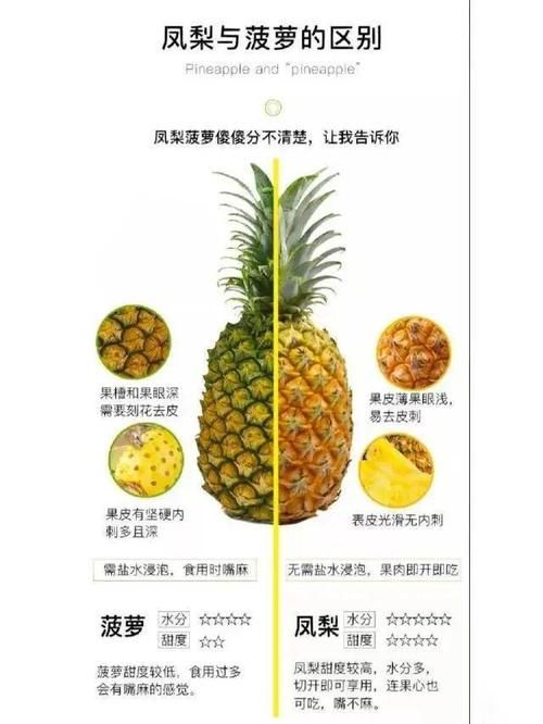 多吃菠萝什么意思揭秘菠萝的营养价值与功效