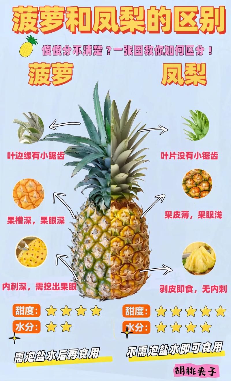 多吃菠萝什么意思揭秘菠萝的营养价值与功效