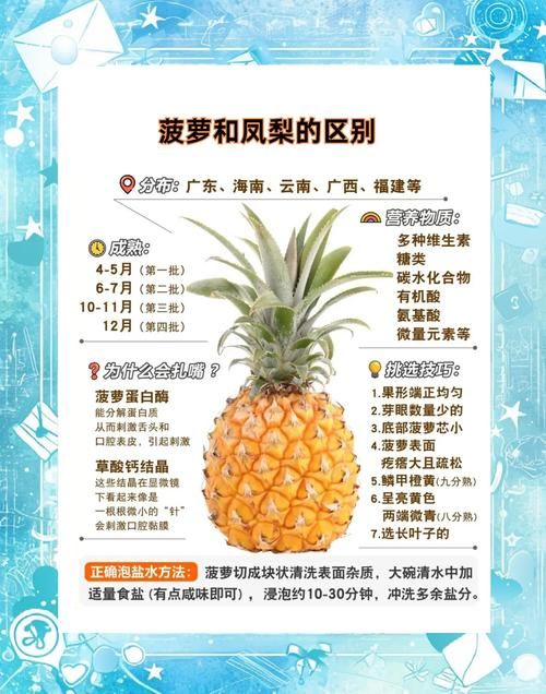 多吃菠萝什么意思揭秘菠萝的营养价值与功效