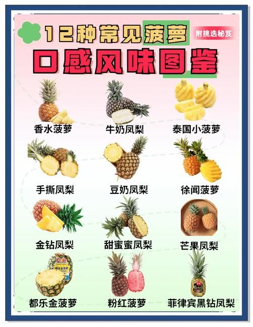 多吃菠萝什么意思揭秘菠萝的营养价值与功效