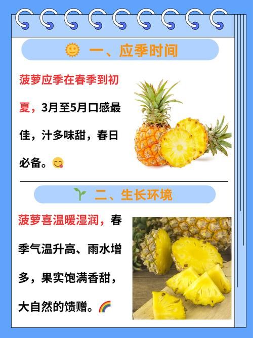 多吃菠萝什么意思揭秘菠萝的营养价值与功效
