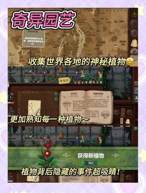 多特单机游戏网站攻略 新手必看游戏技巧分享