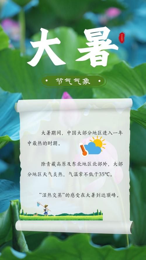 大暑时节物候特征有哪些这些变化你注意到了吗