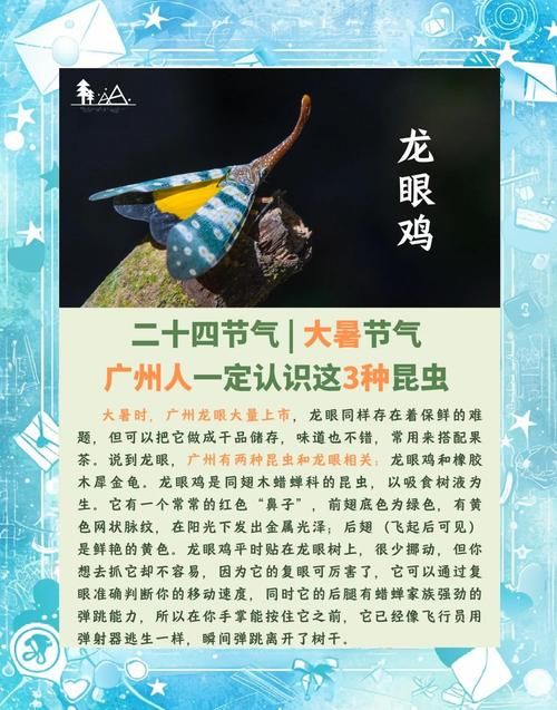 大暑时节物候特征有哪些这些变化你注意到了吗
