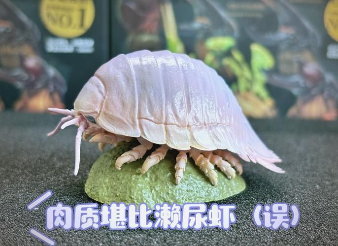 大王具足虫能吃吗探索深海怪虫的食用可能性