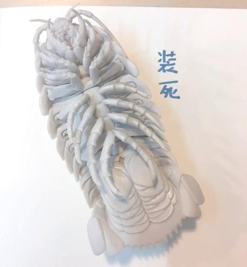 大王具足虫能吃吗探索深海怪虫的食用可能性
