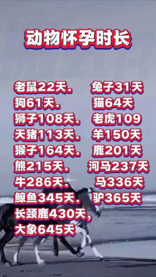 大象一般怀孕多久 揭秘大象超长孕期之谜