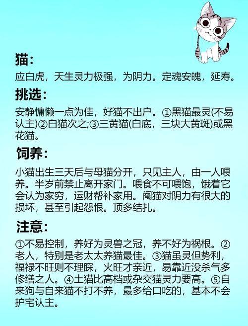 天书奇谈一飞冲天宠物培养 极品宠物获取方法