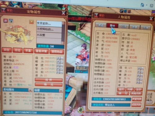 天书奇谈侠客攻略如何快速提升战力与等级