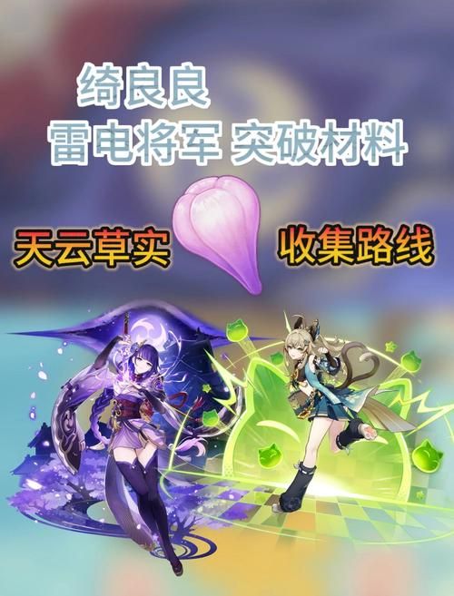 天云草实分布位置在哪里快来了解一下