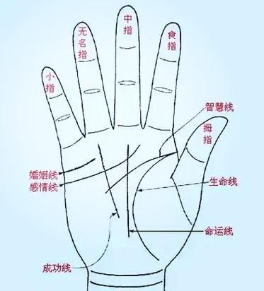 天涯明月刀叶开喜欢谁 他的感情线完整解析