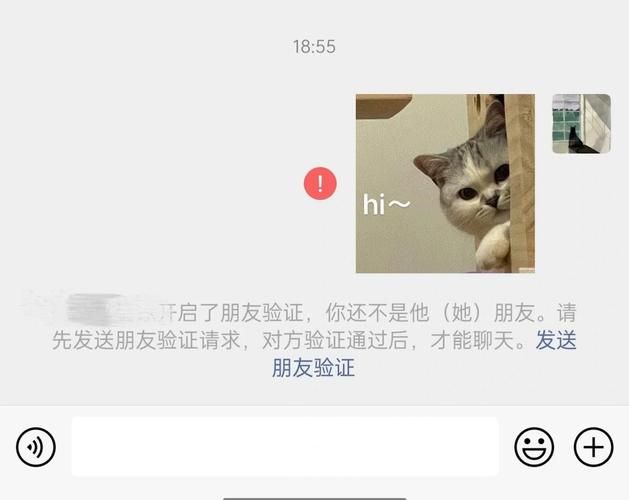 如何删除空间好友 教你彻底清理不需要的好友