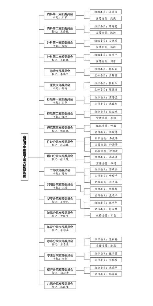 如何查询党支部名称 详细步骤教你快速查找