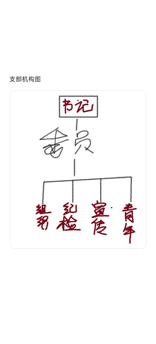 如何查询党支部名称 详细步骤教你快速查找