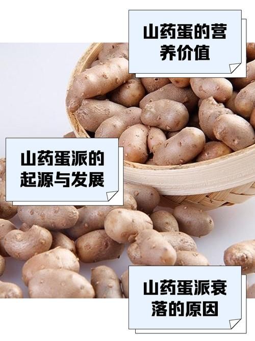 山药蛋派代表作家的写作风格和文学贡献介绍