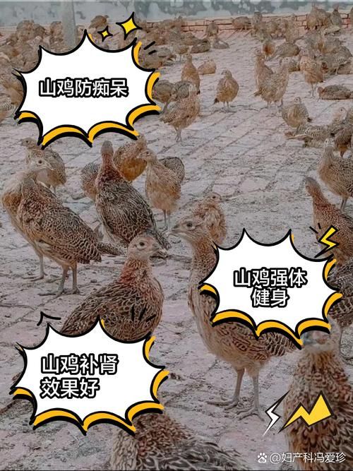 山鸡精要做大妖怪的五大必备条件