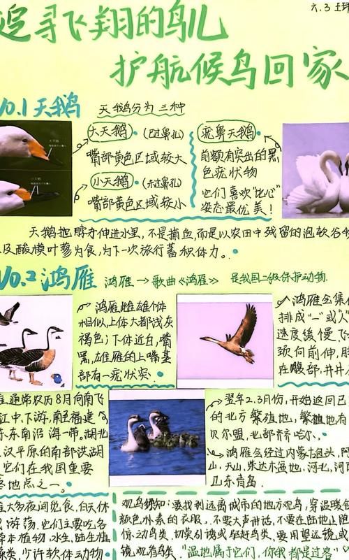 巨型卡利鸟的翅膀有多重 科学家给出惊人答案