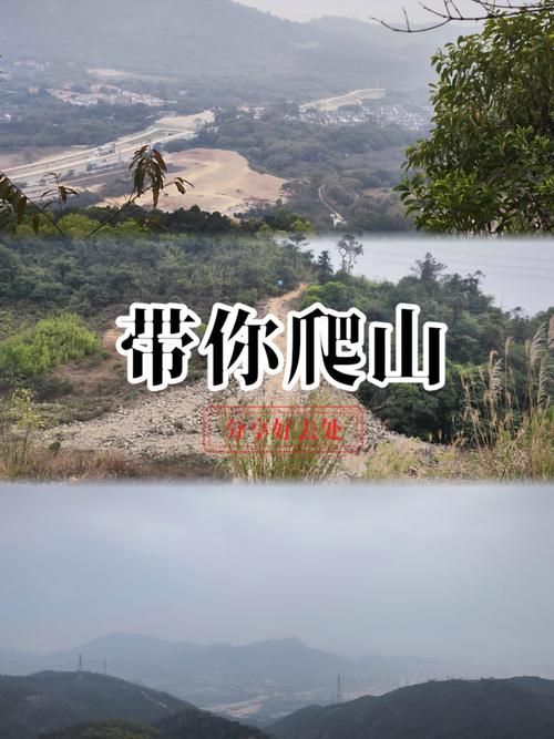 带你去爬山什么梗原来出自这部热播剧