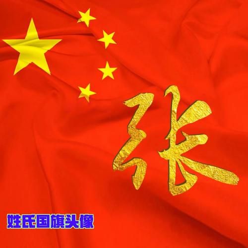 带国旗的微信头像制作教程一键生成爱国头像