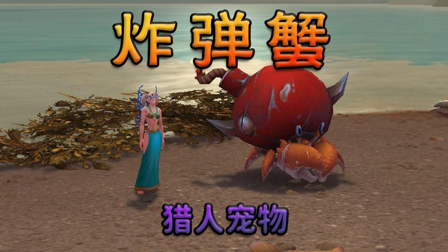 幼年瓦格里刷新点坐标分享 猎人必看宠物获取指南