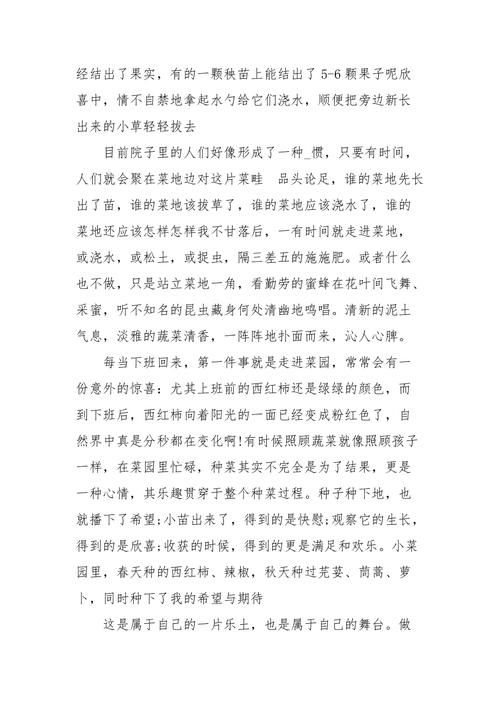 开心农场偷菜种菜心得 如何成为农场高手